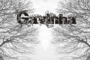 Gavinha: The Decorative Display Font for Impactful Headers