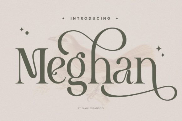 Meghan: An Artsy Serif for Modern Design